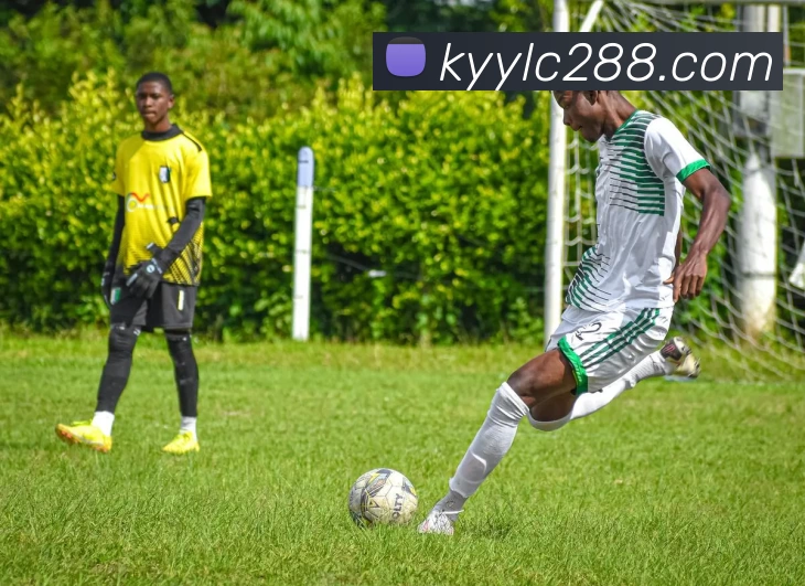 凯亚娱乐城官网平台生态图