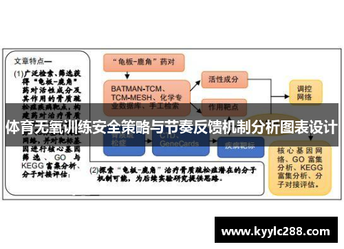 体育无氧训练安全策略与节奏反馈机制分析图表设计